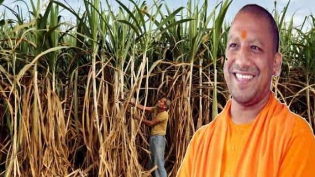 आईपीएल चीनी मिल खड्डा ने 4 दिसम्बर तक किया गन्ना मूल्य भुगतान