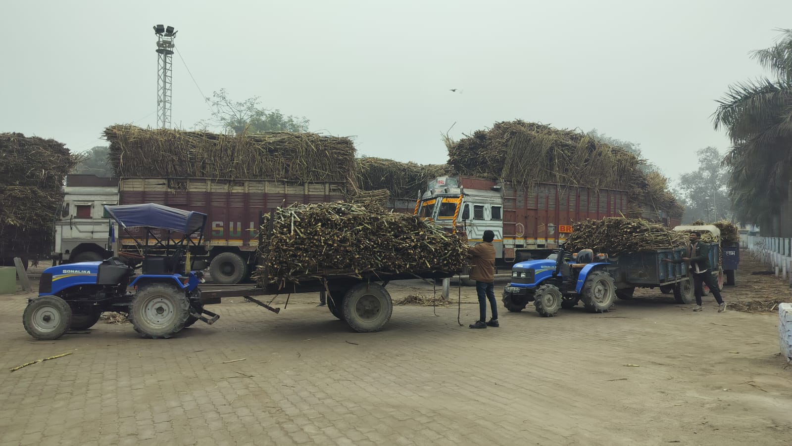 ढाढा हाटा चीनी मिल में गन्ना तौल में फर्जीवाड़े का प्रयास नाकाम, जांच के आदेश