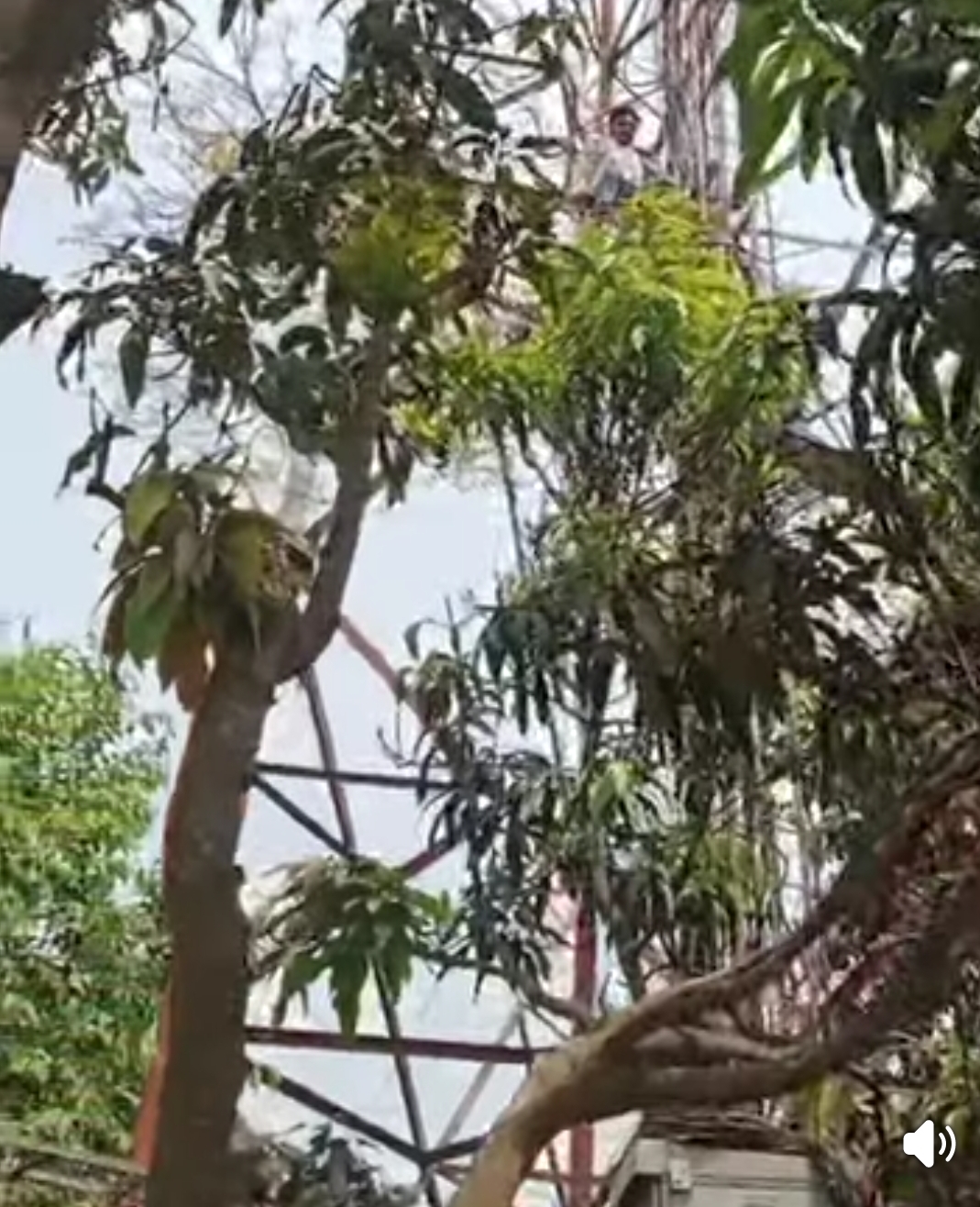 “शोले स्टाइल में टावर पर चढ़ा उपभोक्ता: ‘सिग्नल दो वरना यहीं डेरा!’—वीडियो वायरल”