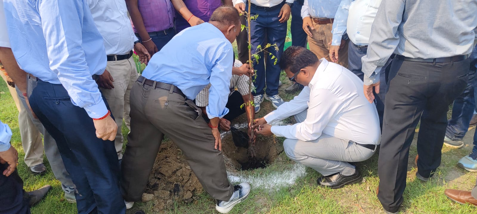 विश्व पर्यावरण दिवस 2026 पर हाटा स्थित अवध शुगर एंड एनर्जी लिमिटेड में पौधारोपण कार्यक्रम का आयोजन