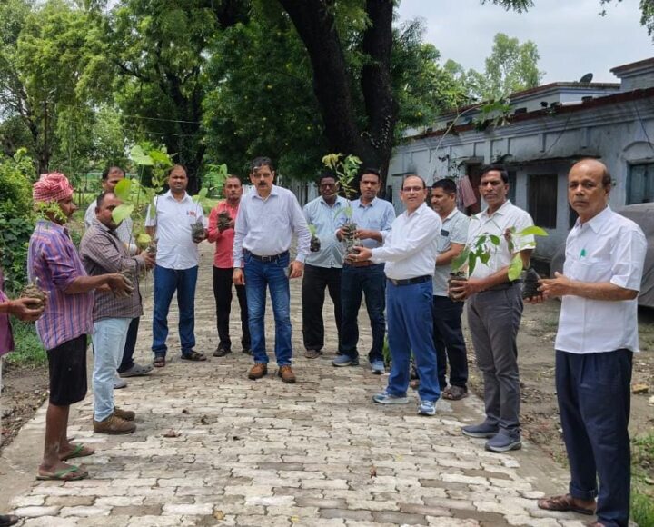 मुख्यालय के निर्देश पर आईपीएल चीनी मिल खड्डा परिसर में वृहद वृक्षारोपण