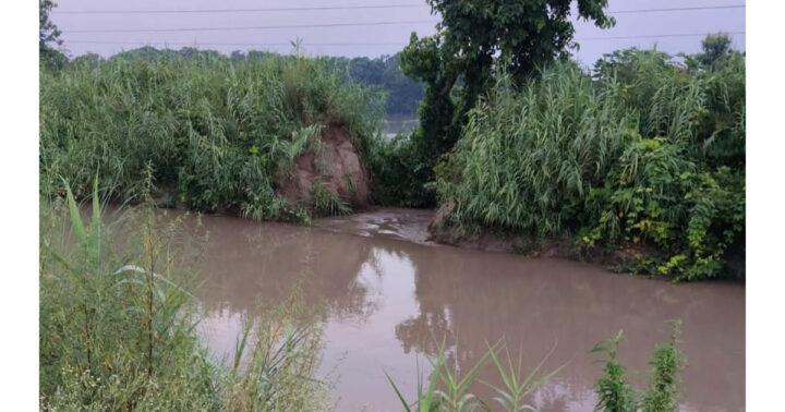 कुशीनगर: खजुरिया नहर की शाखा टूटी, सैकड़ों गांवों की बिजली ठप, खेत जलमग्न