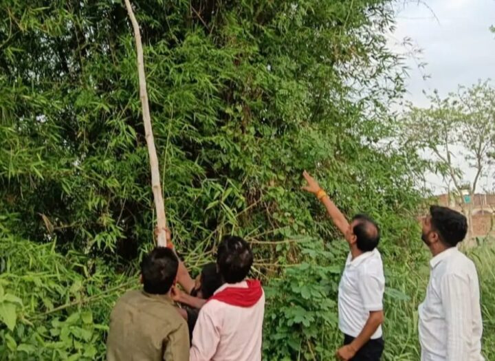 विद्युत कटौती और बार बार फाल्ट होने से सोहसा मठिया विद्युत उप केन्द्र का बुरा हाल , आपूर्ति बाधित