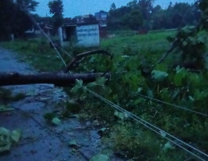 आंधी-बारिश में 15 से अधिक बिजली पोल टूटे, विभाग ने युद्धस्तर पर बहाल की आपूर्ति