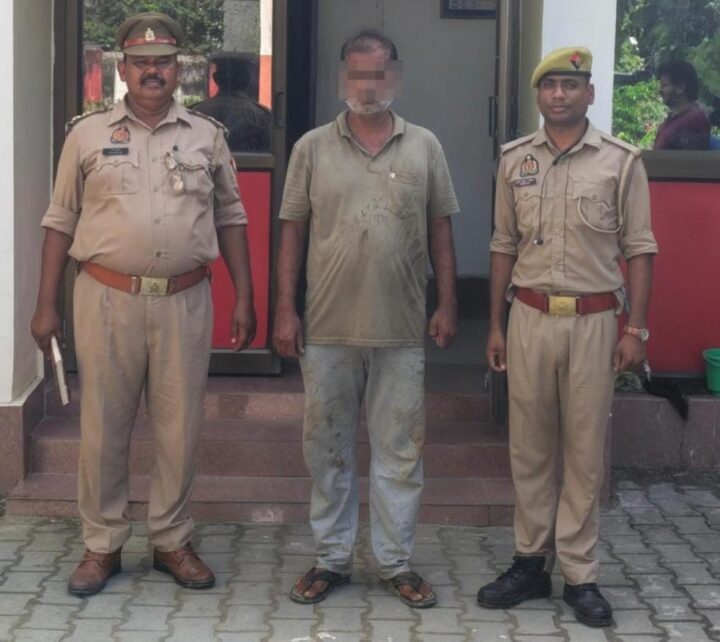 चोरी के पांच बोटा सागौन की लकड़ी बरामद, पिकअप समेत एक गिरफ्तार